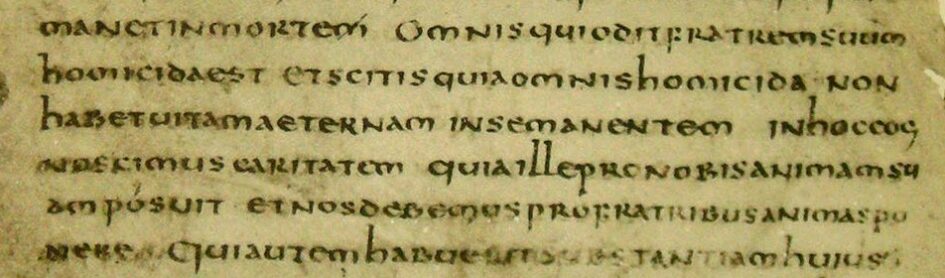 Codex_Frisingensia